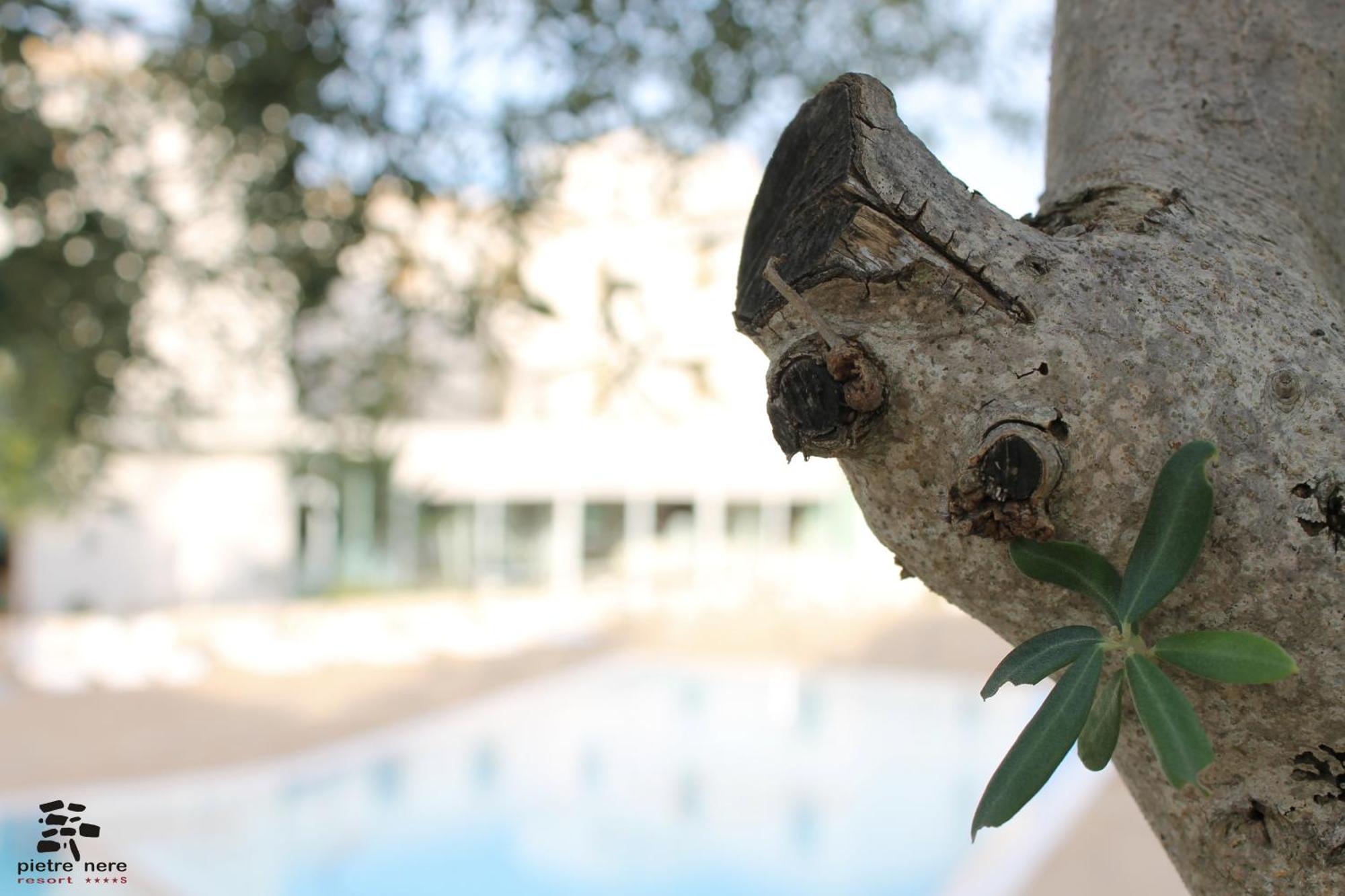 Pietre Nere Resort & Spa Modica Ngoại thất bức ảnh